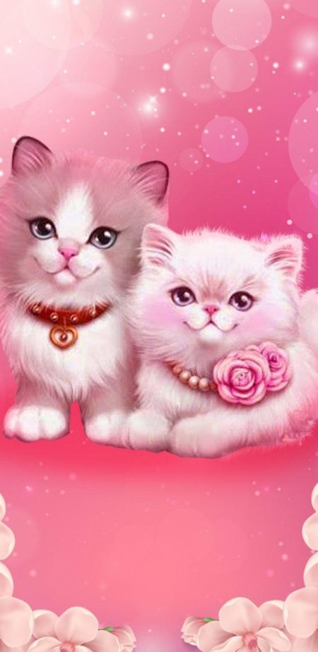 Котята на розовом фоне