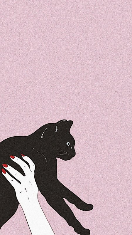 Кошачий арт