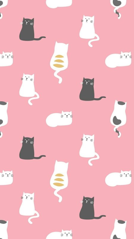 Котики фон