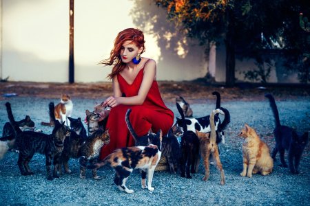 Женщина с кошками