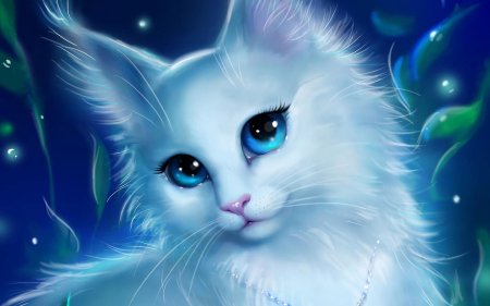 Голубоглазая кошка