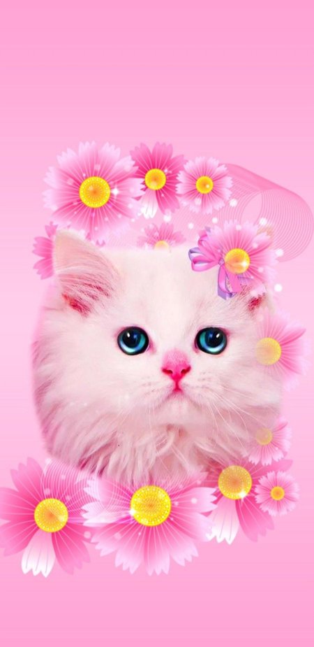Розовая кошка