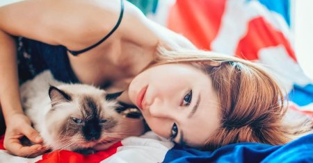 Кошка девушка