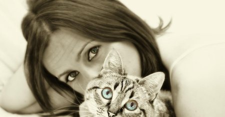 Кот девушка