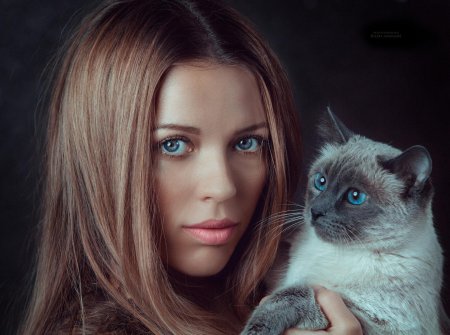 Фотосессия с кошкой