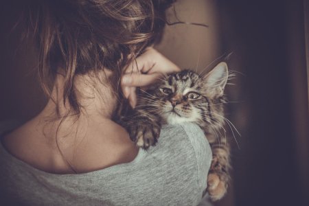 Девушка с котенком