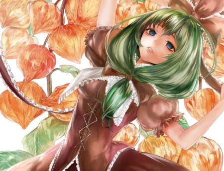 Hina kagiyama