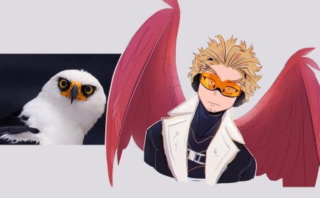 Juniperarts даби и ястреб