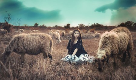 Фотосессия с овечками