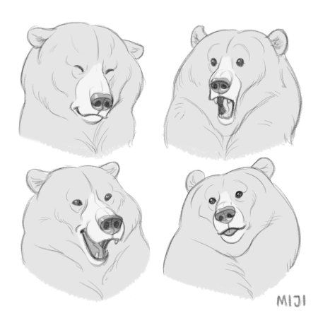 Полярный медведь референс