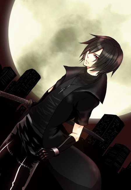 Togainu no chi шики