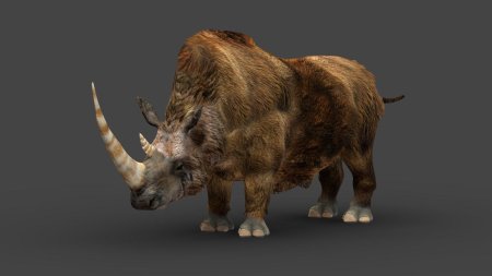 Woolly rhinoceros