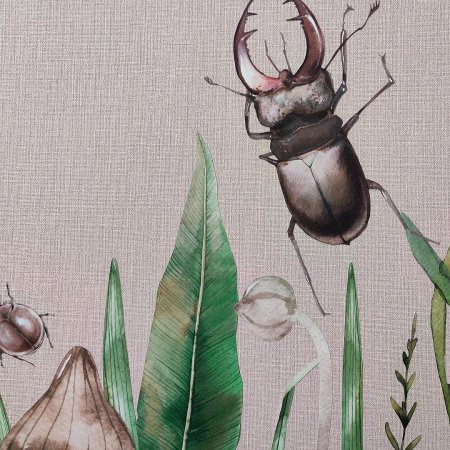 Жук олень lucanus cervus