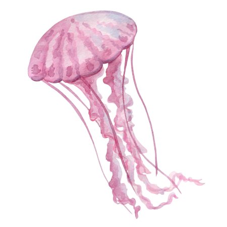 Рисунок медуз