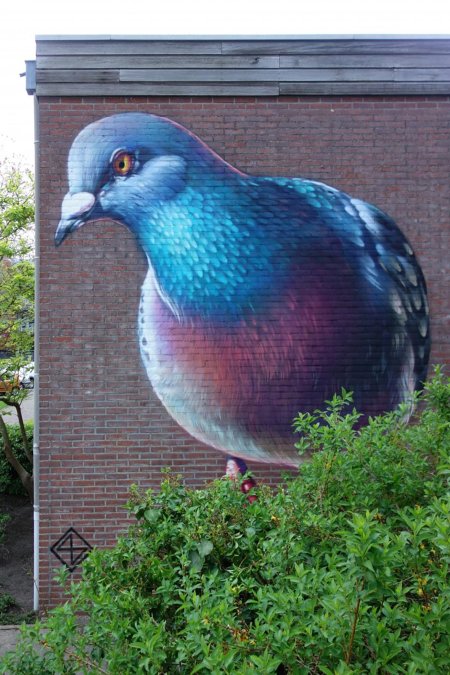Pigeon стрит арт