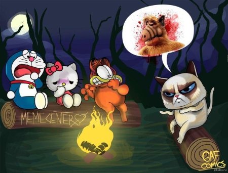 Garfield cat