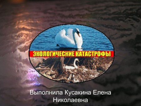 Что такое экологическая катастрофа