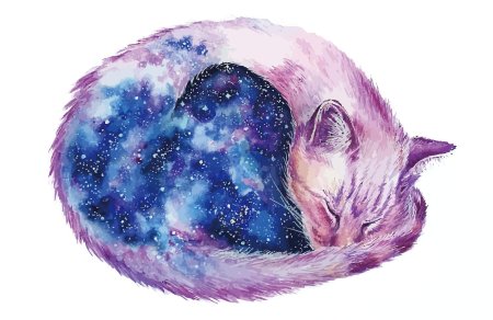 Космический кот
