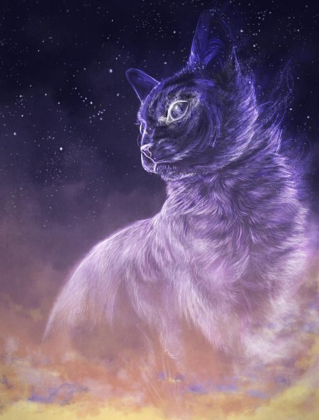 Космическая кошка