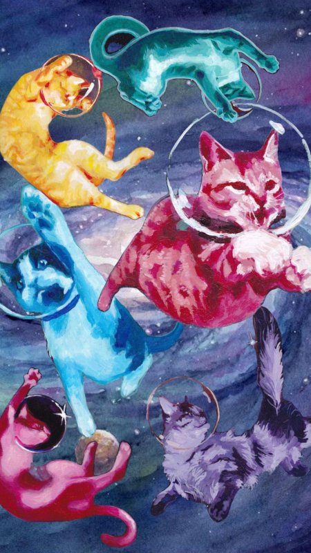 Космический кот