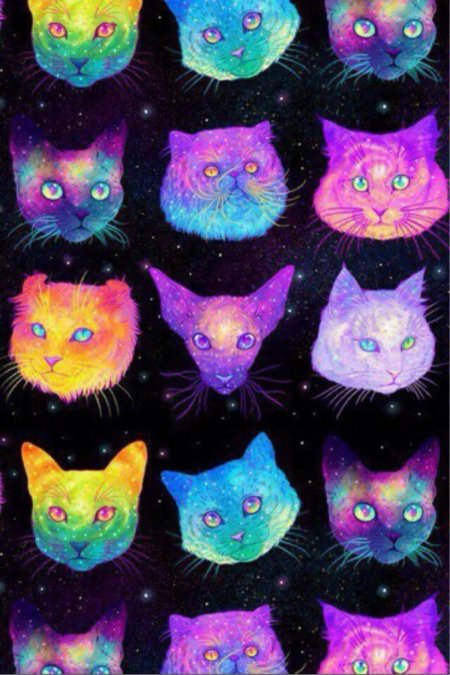 Космические коты