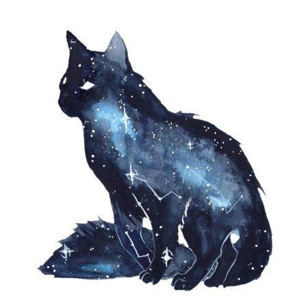 Космические коты