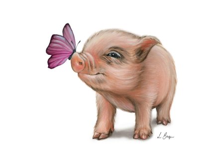 Мини пиг рисунок
