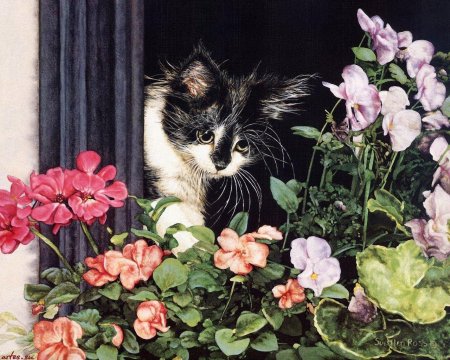 Sueellen ross картины