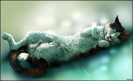 Арт кот