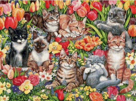 Котик в цветах