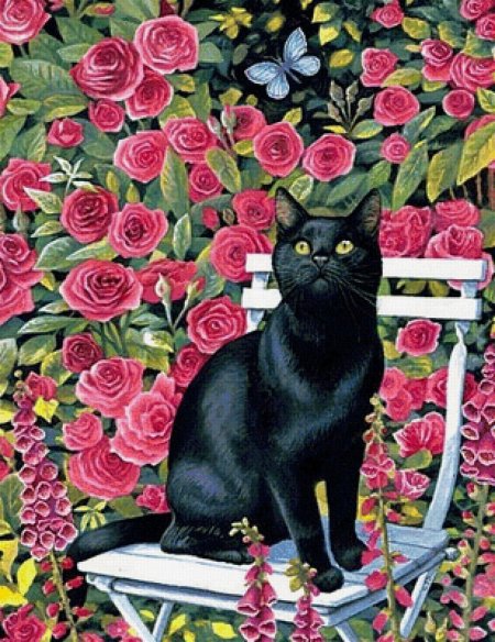 Кошки крисси снеллинг