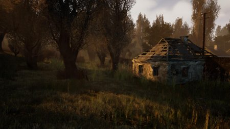 Кордон сталкер ue4