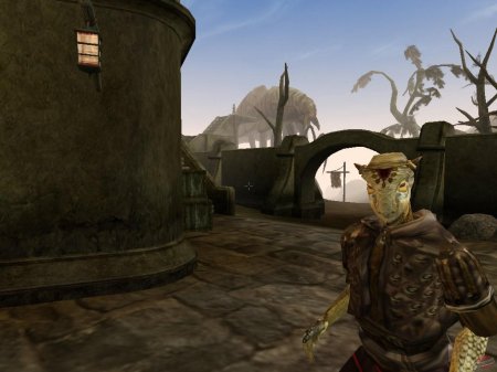 The elder scrolls iii: morrowind