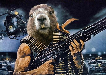 Боевой бобер