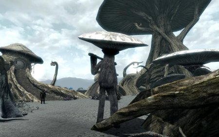 Elder scrolls