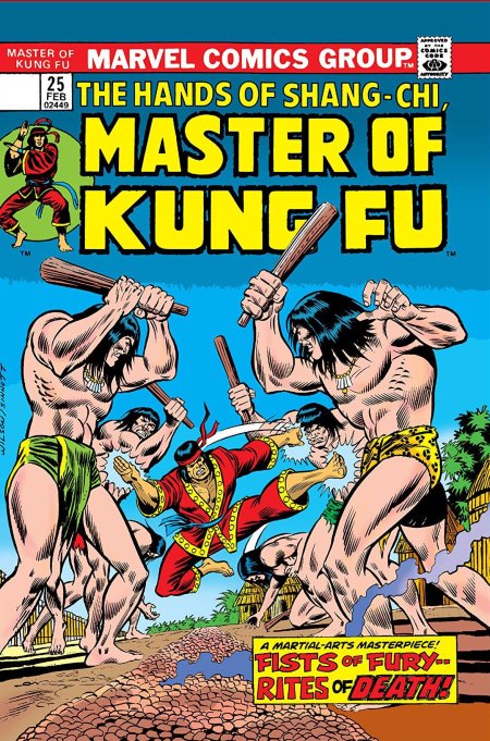 Master of kung fu