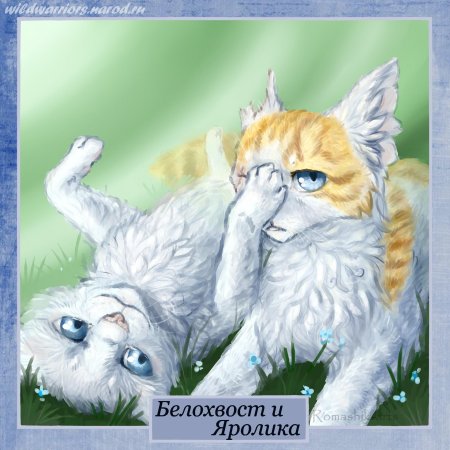 Яролика коты воители