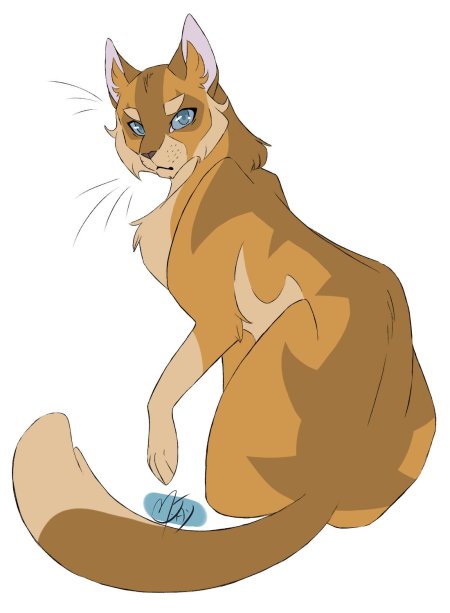 Коты воители marymsjay