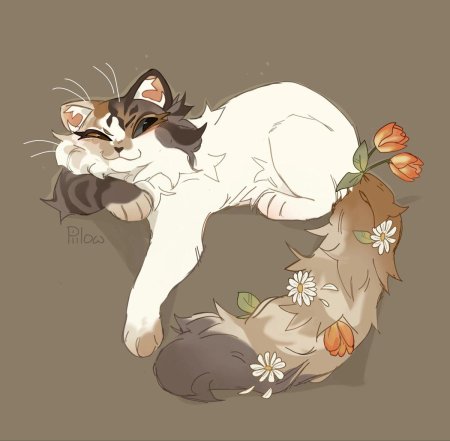 Коты воители graypillow