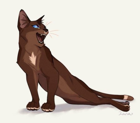 Коты воители иглогривка