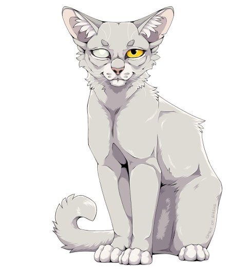 Коты воители кривуля