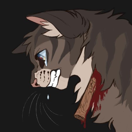 Коты воители коршун смерть