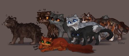 Коты воители ежевика и рыжинка