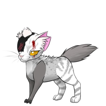 Коты воители кривуля