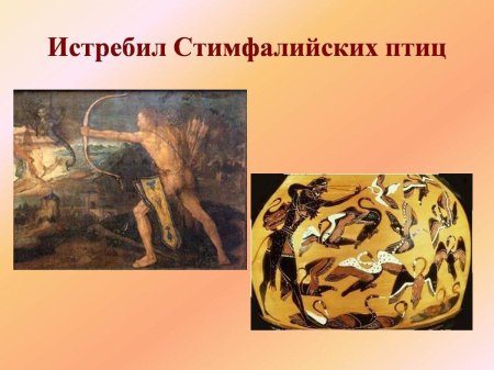 Стимфалийские птицы подвиг геракла