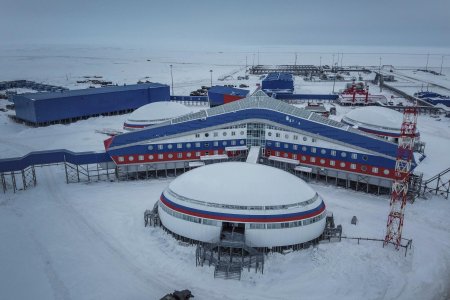 Арктический трилистник