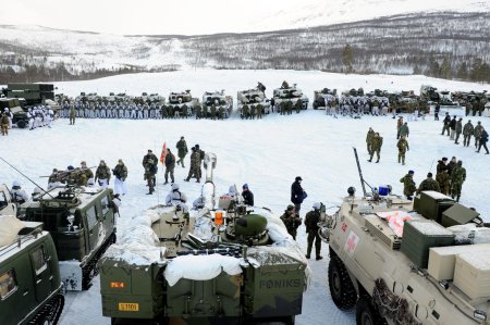 Учения нато cold response