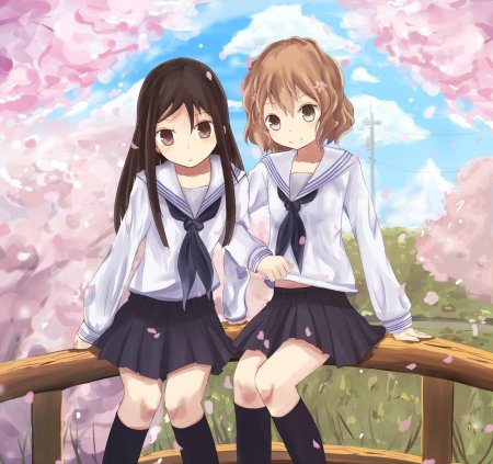 Азбука цветов / hanasaku iroha