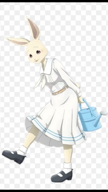 Beastars кролик хару