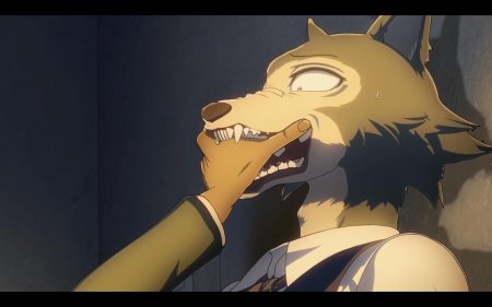 Выдающиеся звери beastars